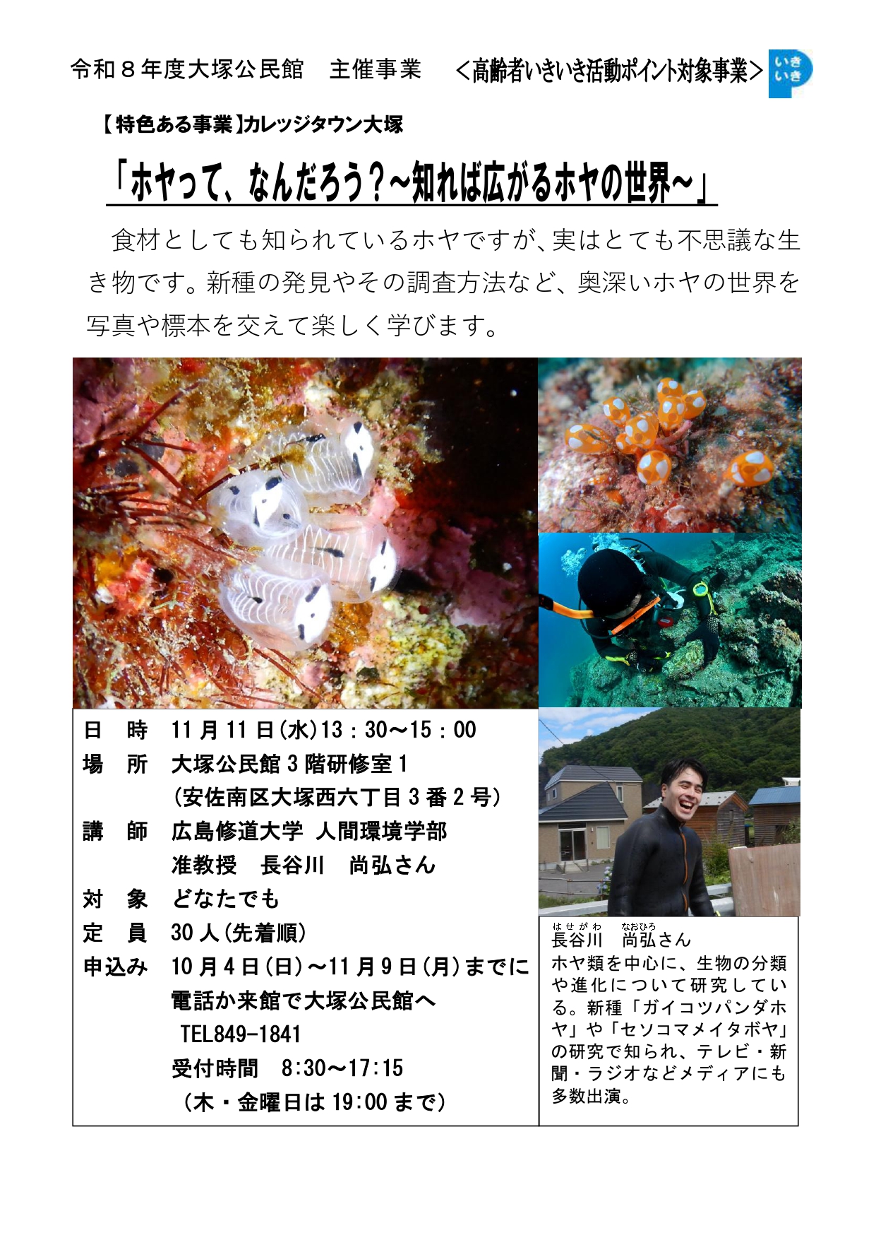 チラシの画像